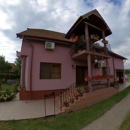 Hotel Pensiunea Oana Balc Exteriér fotografie