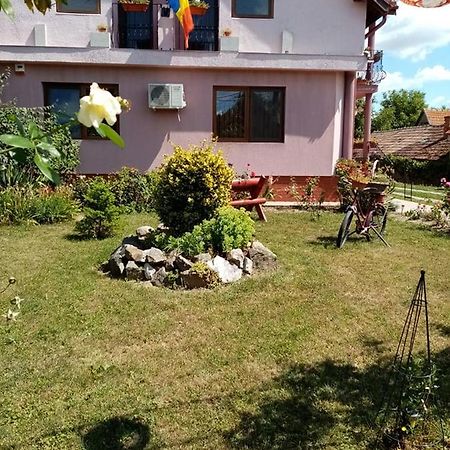 Hotel Pensiunea Oana Balc Exteriér fotografie
