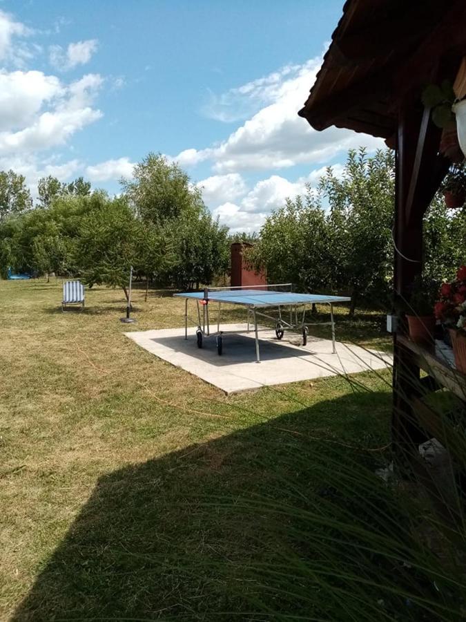 Hotel Pensiunea Oana Balc Exteriér fotografie