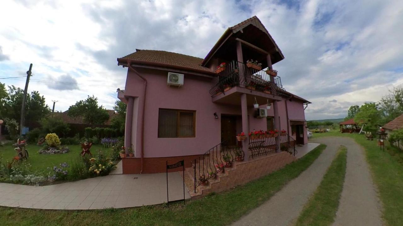 Hotel Pensiunea Oana Balc Exteriér fotografie